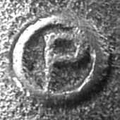 [P-Circle Logo]